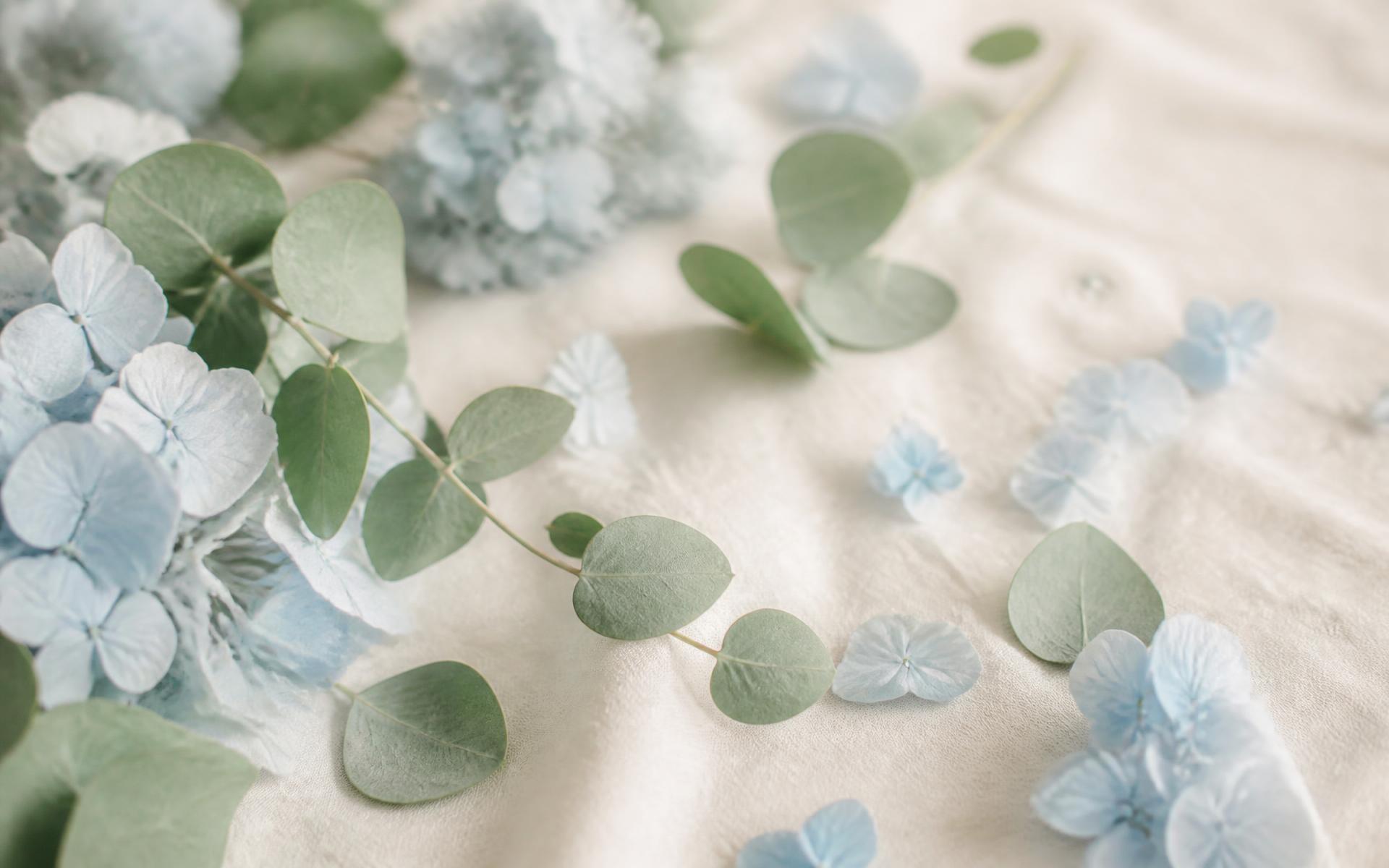 Folhas de eucalipto e pétalas de hortênsia azul sobre linho claro
